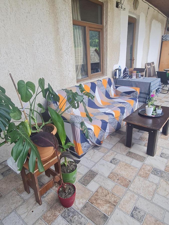 Guest House Goshtela Mestia Luaran gambar